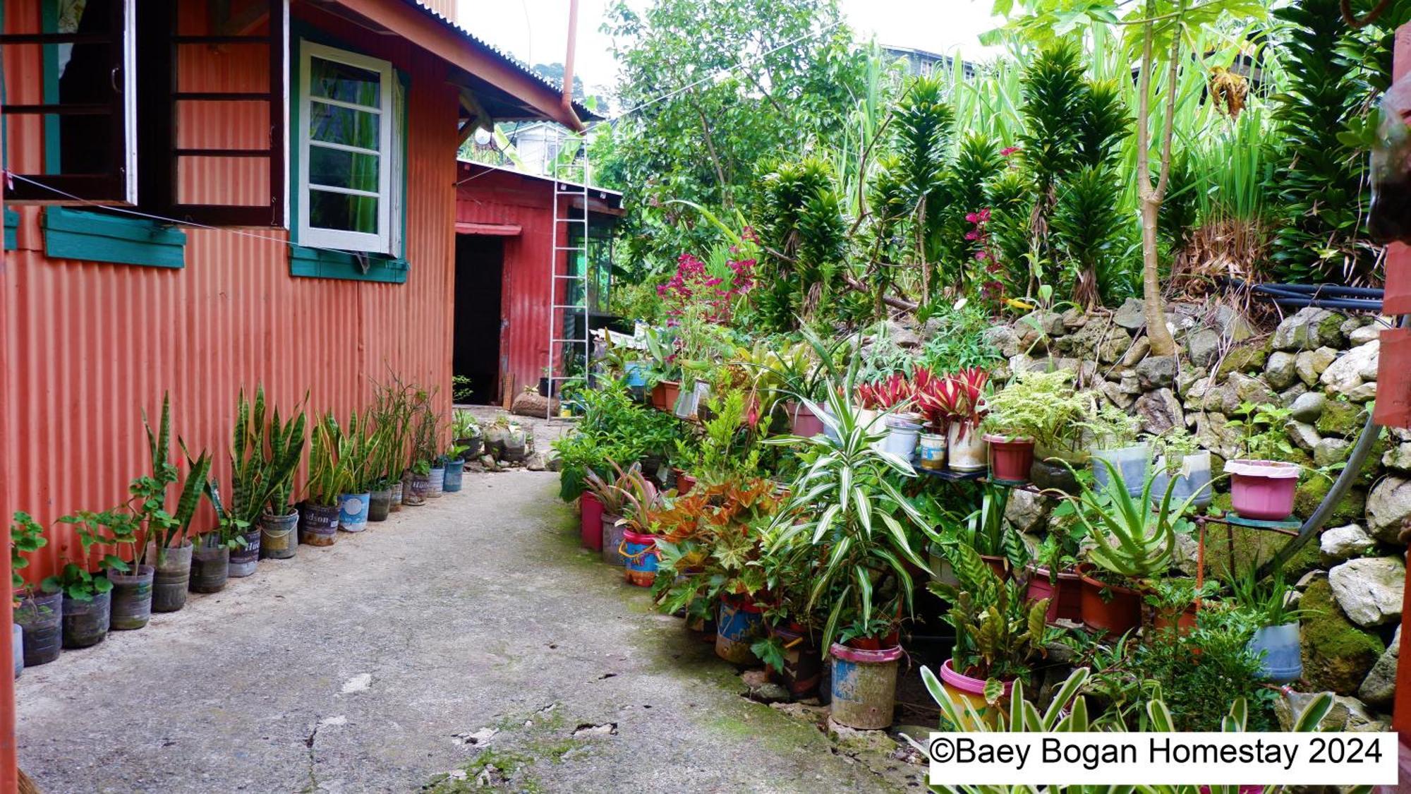 Baey Bogan Homestay Sagada Esterno foto