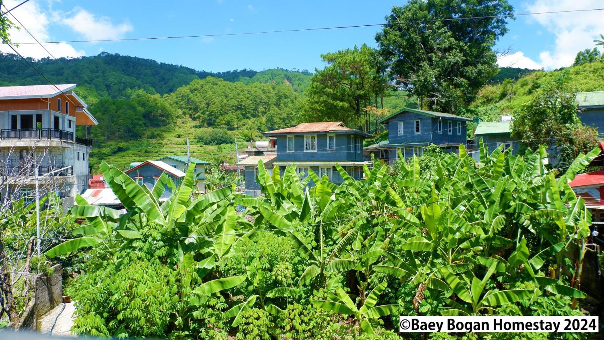 Baey Bogan Homestay Sagada Esterno foto