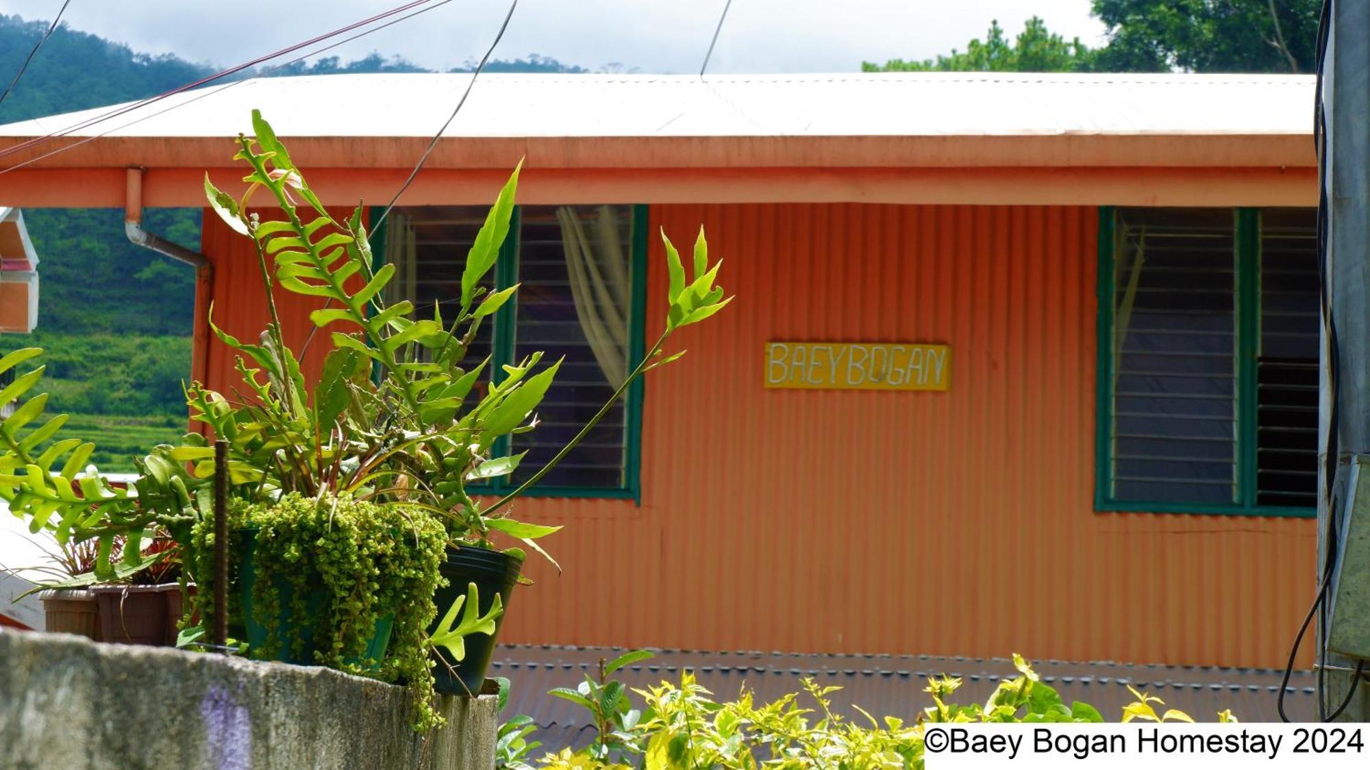 Baey Bogan Homestay Sagada Esterno foto