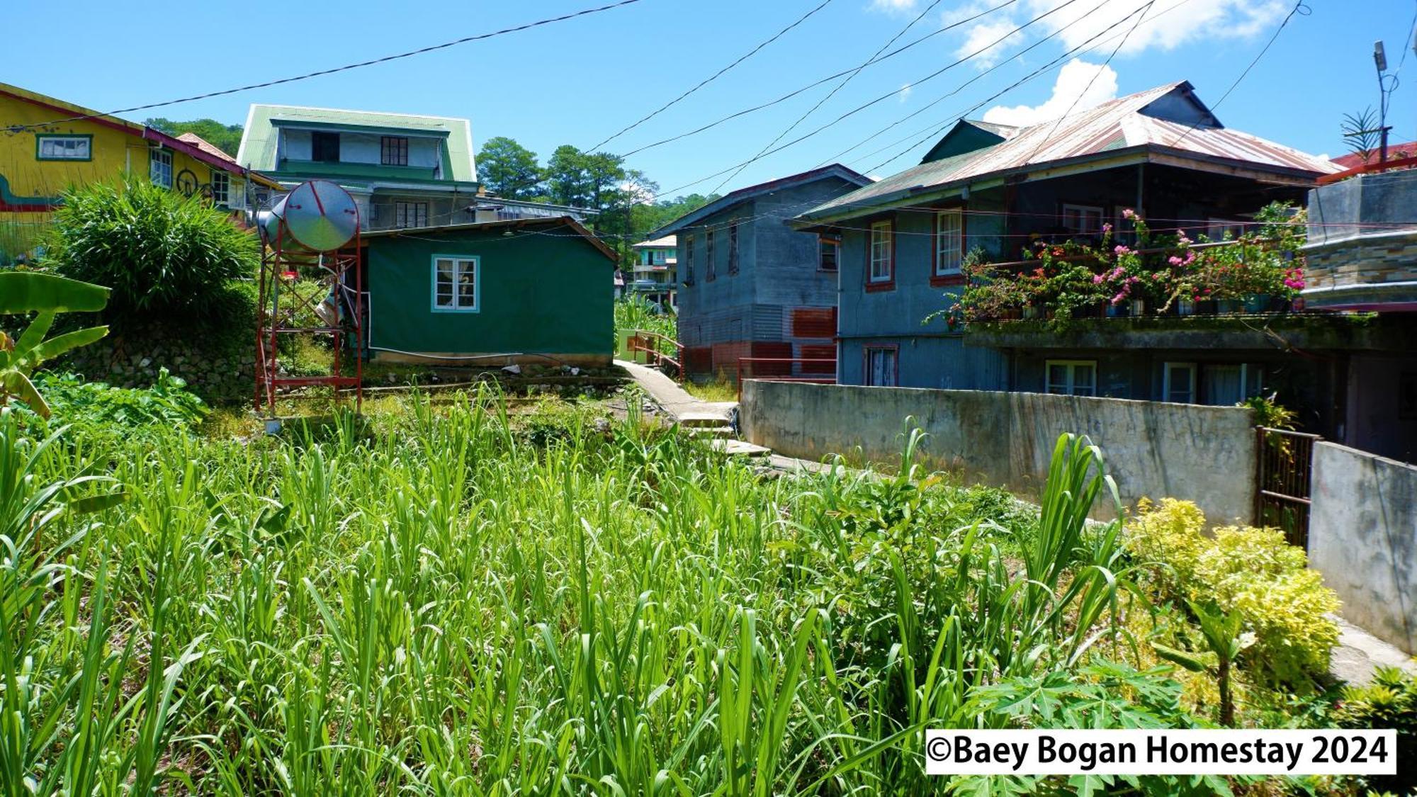 Baey Bogan Homestay Sagada Esterno foto