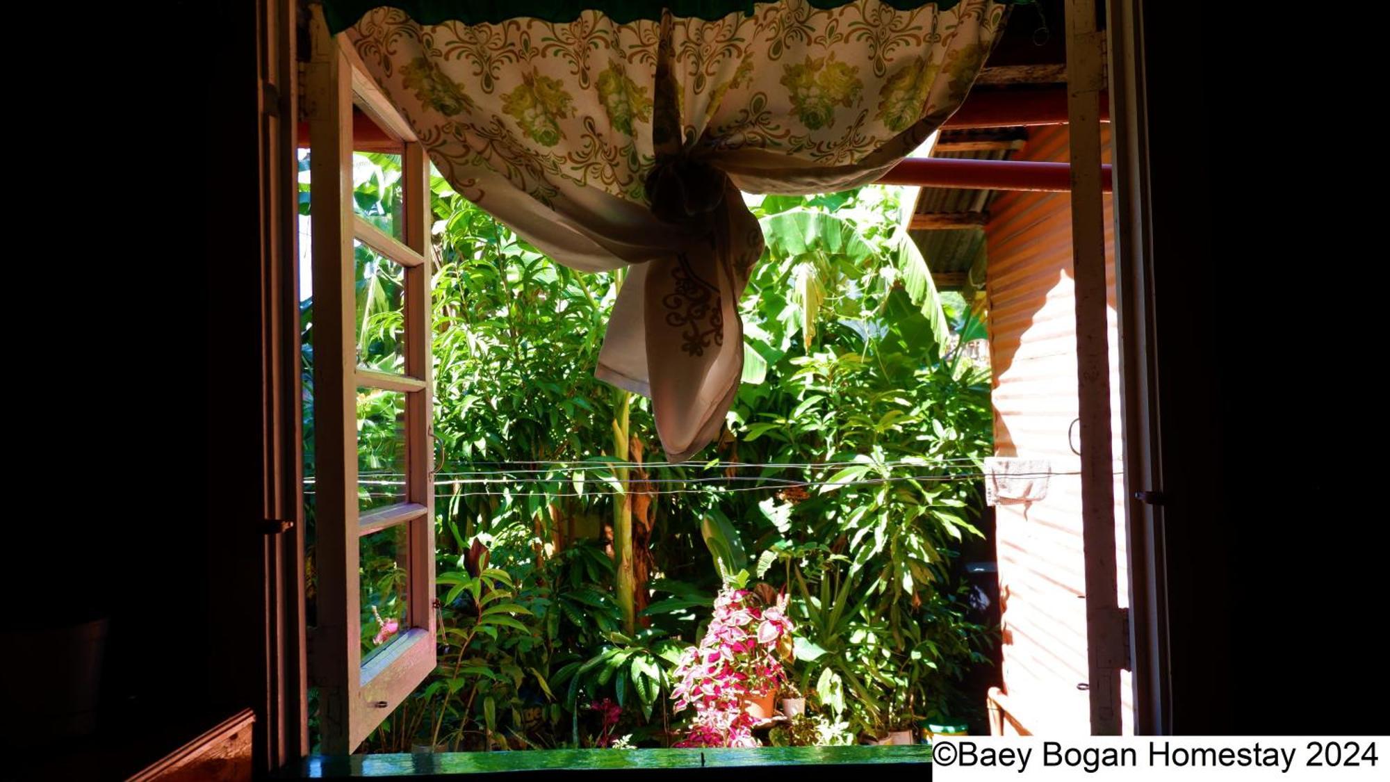 Baey Bogan Homestay Sagada Esterno foto