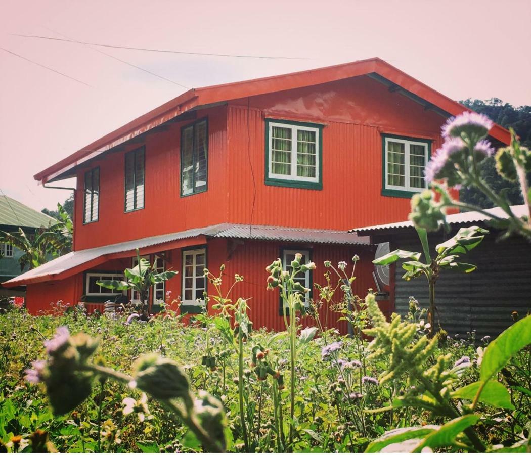 Baey Bogan Homestay Sagada Esterno foto